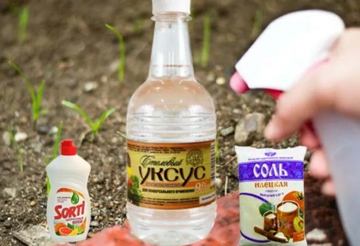 Для приготовления гербицидного мыла смешайте мокрое мыло (мыльный гель), уксус и соль /Фото: Golosros.ru