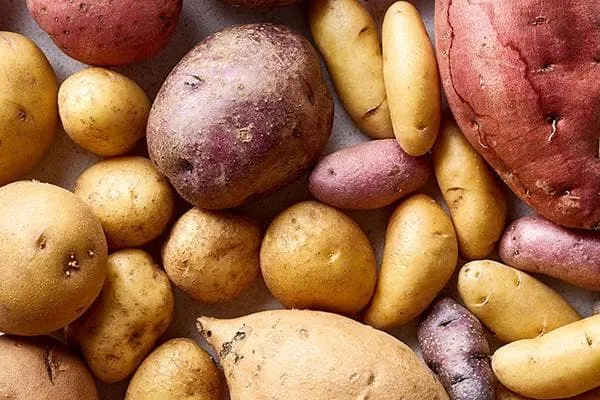 Различные виды и сорта картофеля