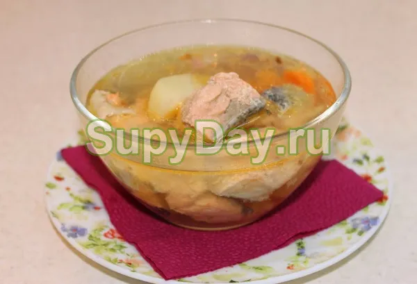 Суп из красной рыбы и слим