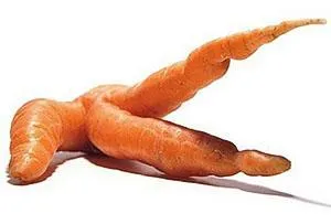Неправильный уход за морковью