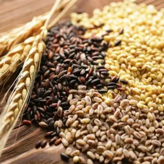 Дождливый дождь: какими зерновыми можно питаться и как правильно их готовить?