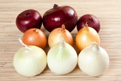 Белый, красный или обычный желтый лук: в чем разница во вкусе, пользе и принципах выращивания?