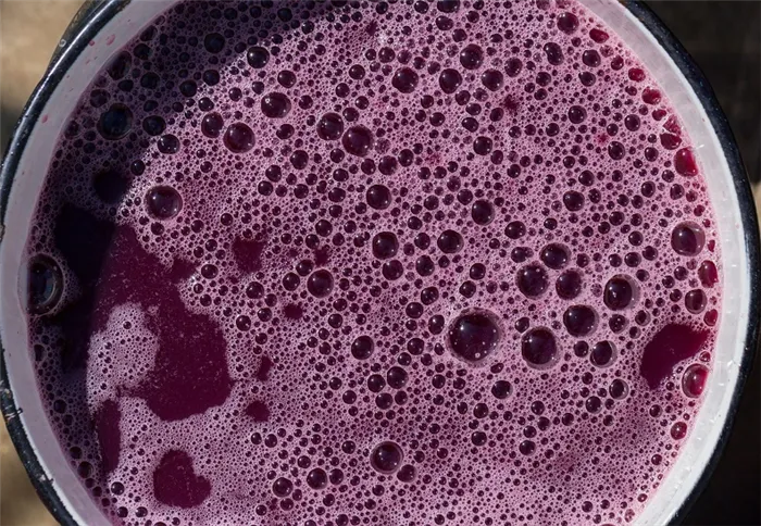 Ферментация жмыхов виноградного вина