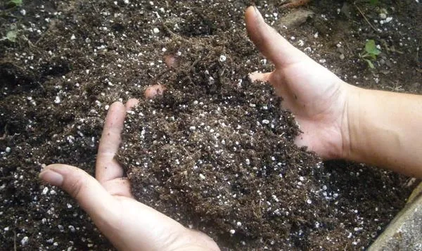Насыщение почвы микроэлементами