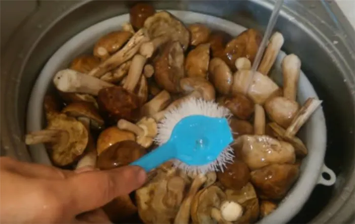 Промойте грибы под проточной водой