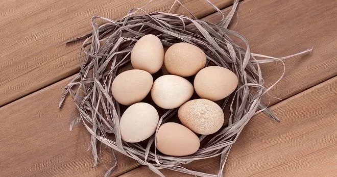 Как варить яйца Яйца польза и вред?