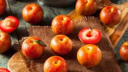 Гибриды сливы и абрикоса: описание и выращивание