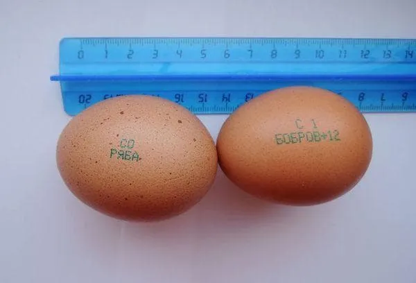 Два меченых яйца