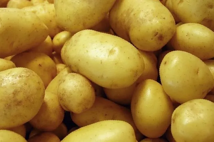 Характеристика картофеля Джарра