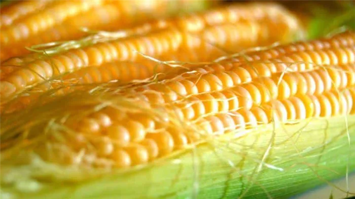 Что такое кукуруза - фрукт, зерно или овощ: изучите этот вопрос и посмотрите на царицу полей поближе.