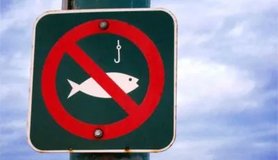Рыбалка запрещена