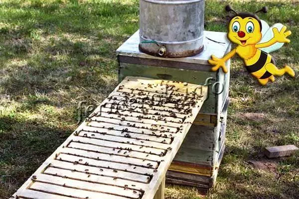 Фотография лейки для полива пчел с ручным подогревом