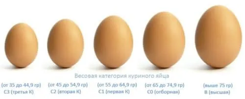 Таблица белков яиц и желтков
