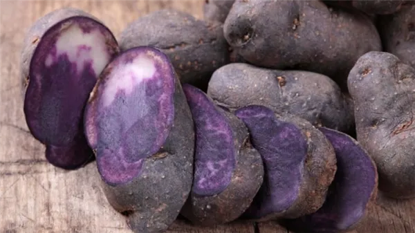 Полезные свойства, особенности выращивания и описание фиолетового сорта картофеля