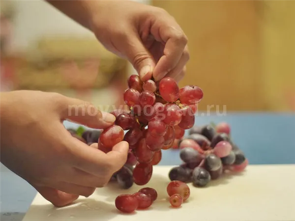 Отделение ягод винограда от веток