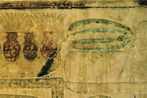 Изображение арбуза можно найти как минимум в трёх древнеегипетских гробницах.