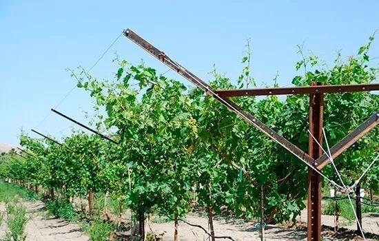 Металлические виноградные столбы