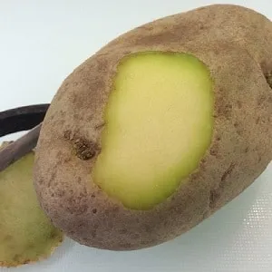 Можно ли есть позеленевшую картошку, опасна ли она для организма человека и почему
