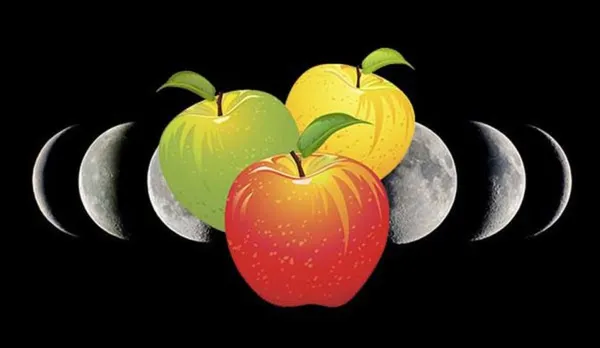 Луна и яблоки