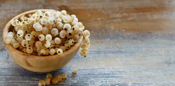 Ripe white currant berries in a bowl close up