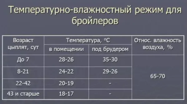 Температурно-влажностный режим для содержания цыплят-бройлеров в брудерах таблица