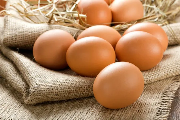 Куриные яйца крупным планом