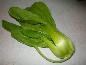 листовая китайская капуста