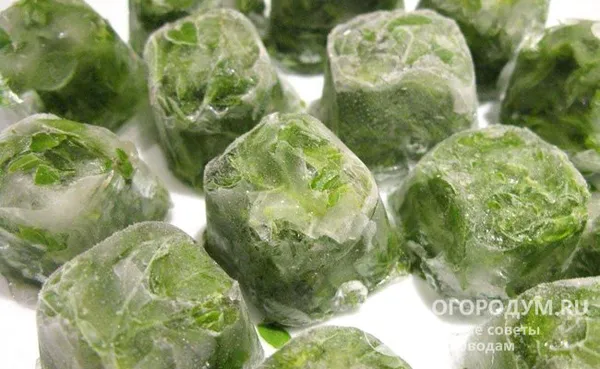 Для заморозки зеленого лука используйте контейнеры для льда. Маленькие порционные кубики удобны в хранении и применении во время приготовления первых блюд