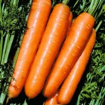 Морковь «Сладкая зима»
