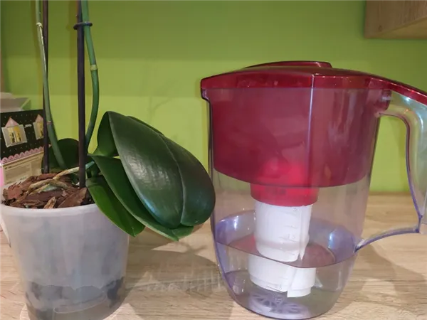 Качество воды для полива орхидей