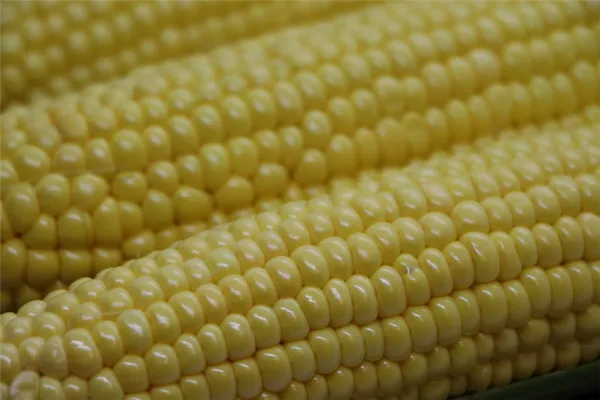 Легко очищаем початок кукурузы и извлекаем из него зерна