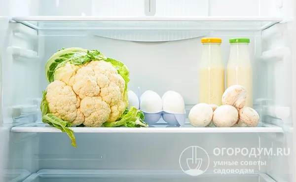 В холодильнике цветную капусту хранят на полке для овощей