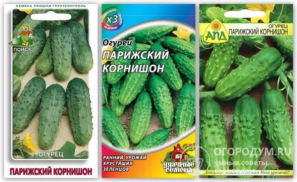 На фото – упаковки семян огурцов сорта различных производителей