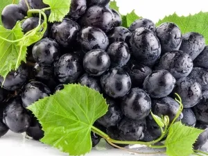 черный виноград с листиками