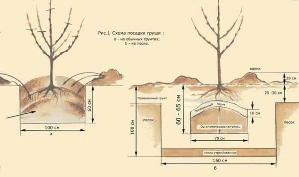 Схема посадочной ямы