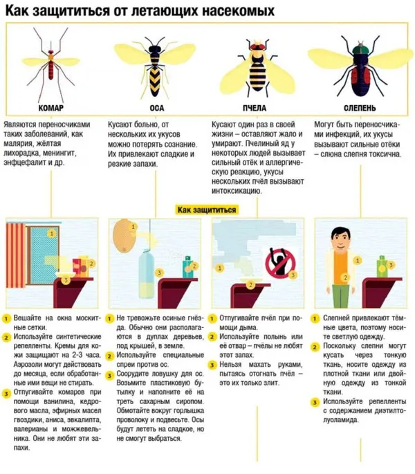 укусы насекомых