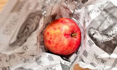 Секреты хранения яблок на зиму в погребе и подвале