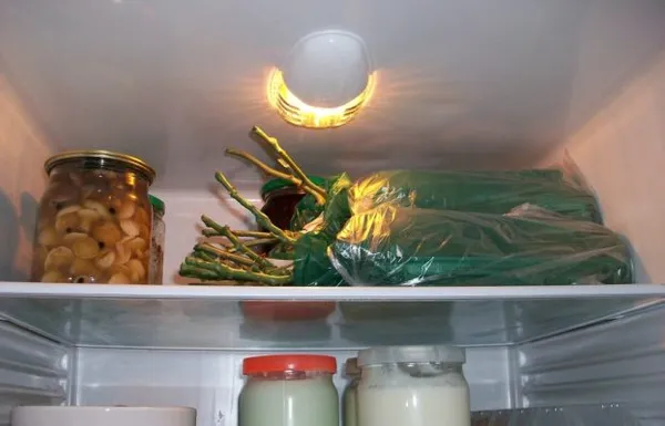 Хранение черенков в холодильнике