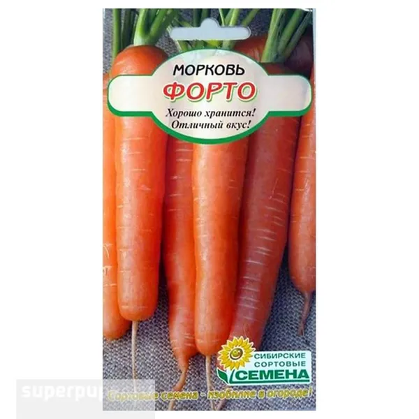 Сорт моркови устойчив к белой гнили