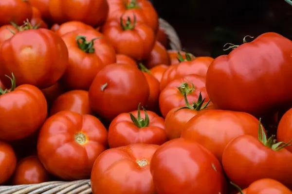 Что такое томат на самом деле — овощ, фрукт или ягода?