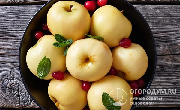 Яблоки в натуральном соке с ягодами и грецкими орехами