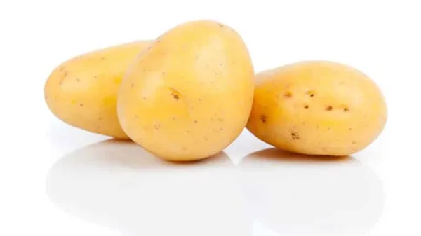 Ранний низкорослый сорт картофеля 