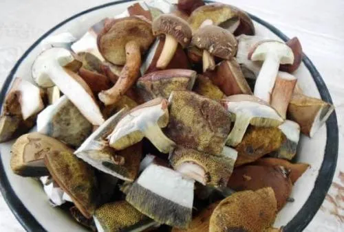 Как жарить польский гриб со сметаной. Как вкусно пожарить польский гриб? Самые лучшие рецепты!