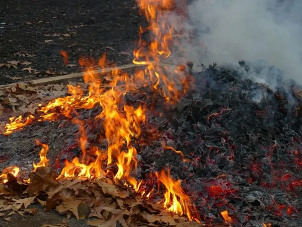 Сжигание органического мусора