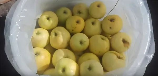 яблоки уложены до верха бочки