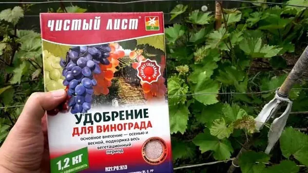 Как сделать подкормку для винограда