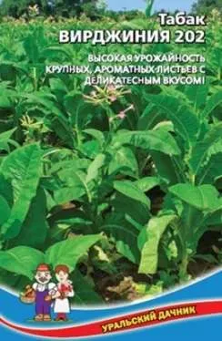 Самый популярный сорт табака в России — Вирджиния 202