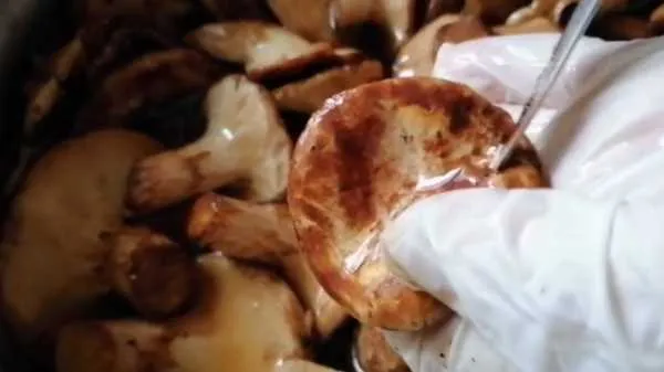 Как и сколько варить грибы рыжики