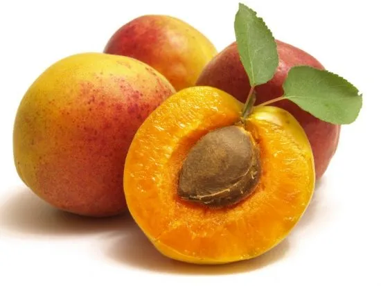 Косточка абрикоса в плодах