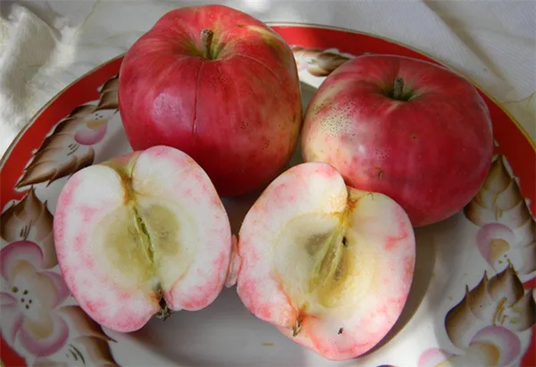 Яблоки Малиновка